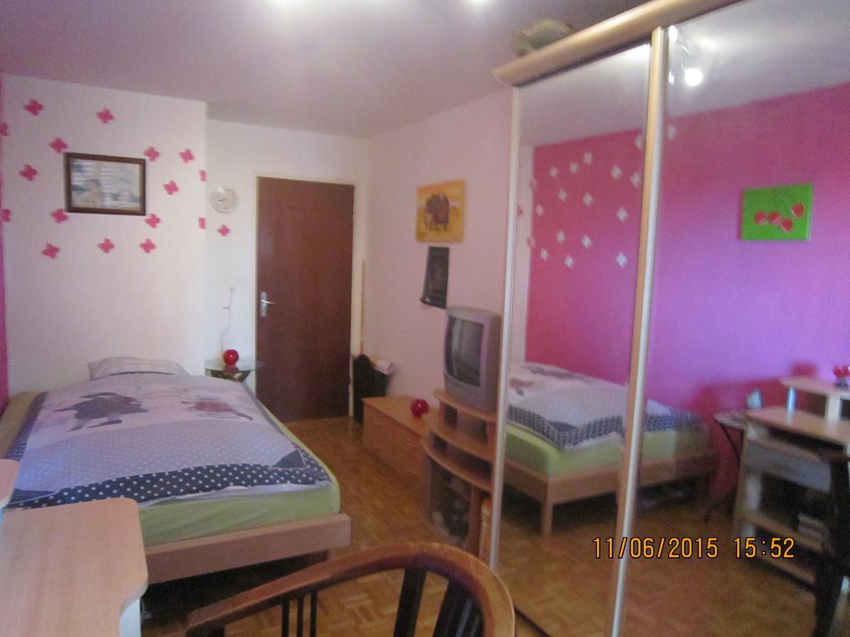 Schoenes Zimmer In Der City Базел Екстериор снимка